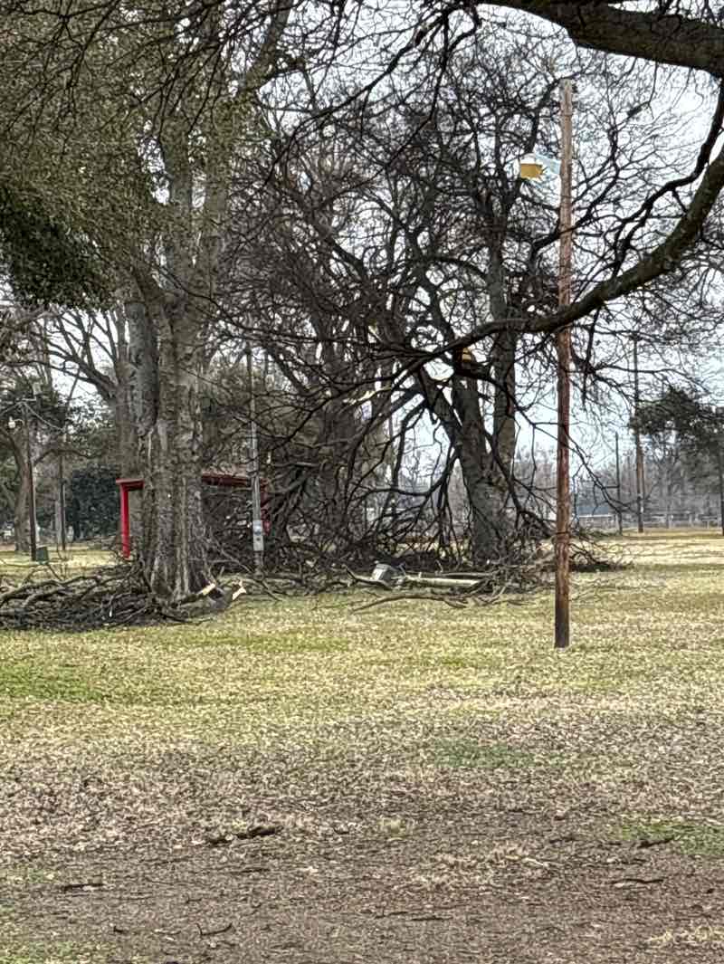 walking near me in Whittington Park in winter