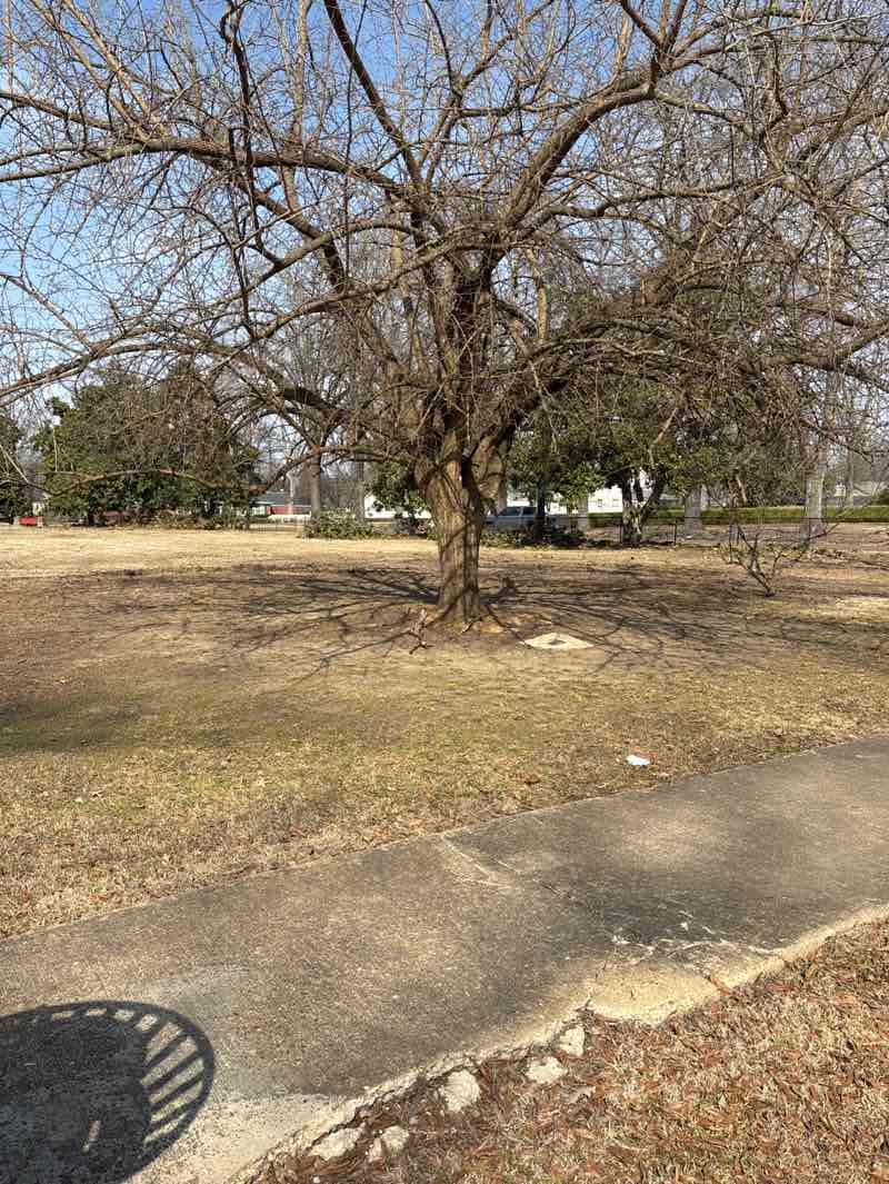 walking near me in Little Red School House Park in winter