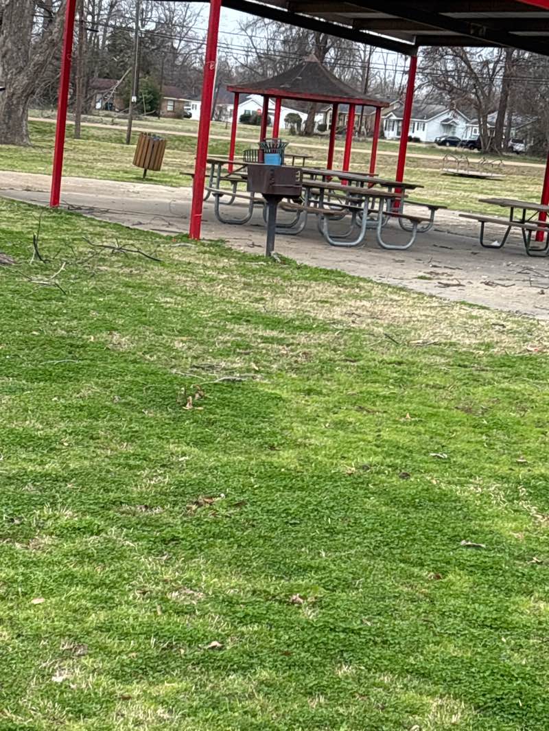 walking near me in Clerico Park in winter