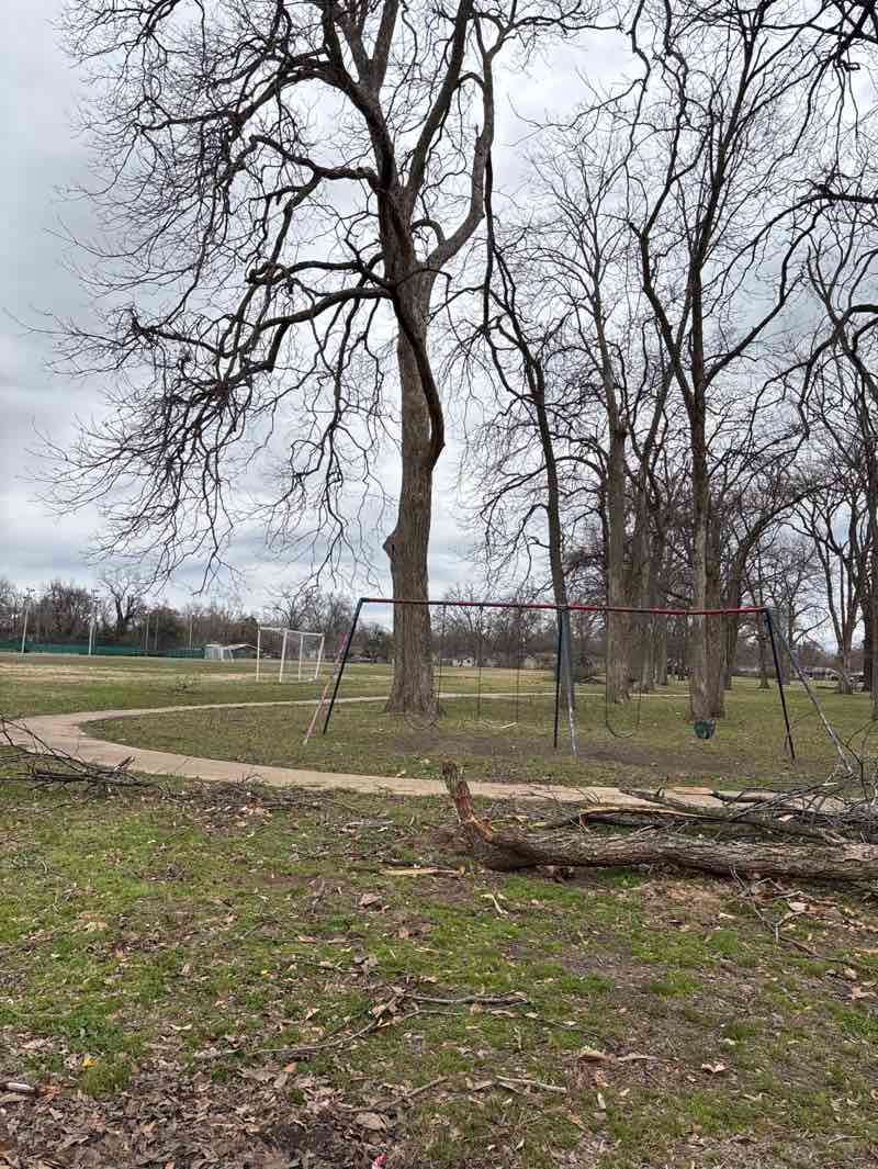 walking near me in Wagner Park in winter