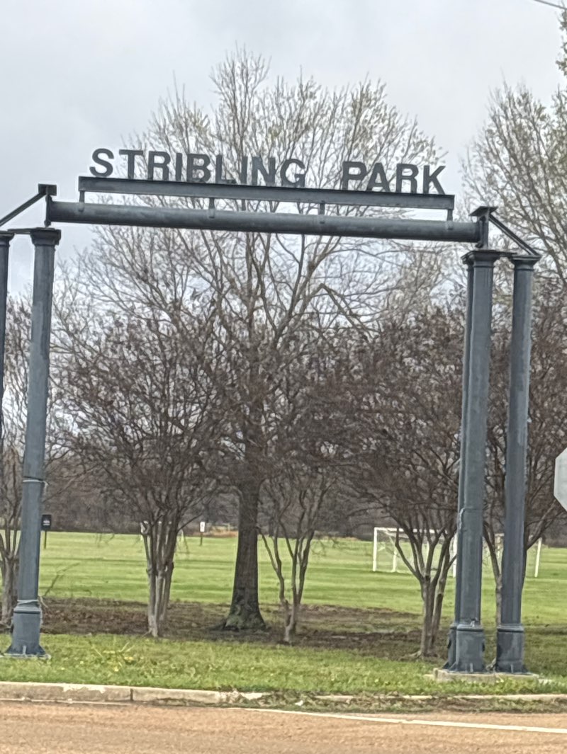 walking near me in Stribling Park in spring