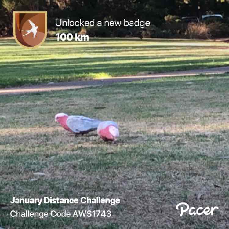 nor hashimah amm post 1