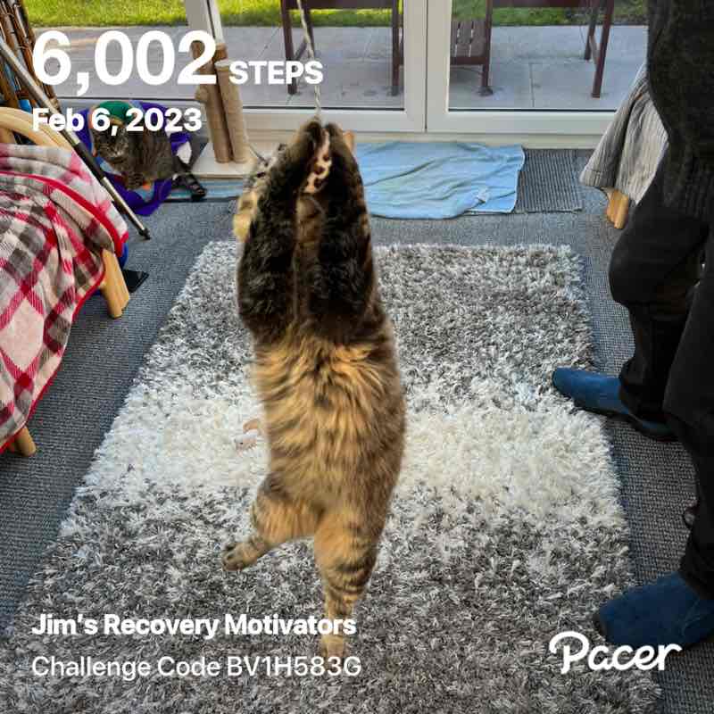 Magic Tabby post 1