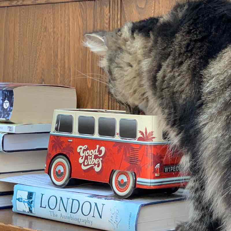 Magic Tabby post 3