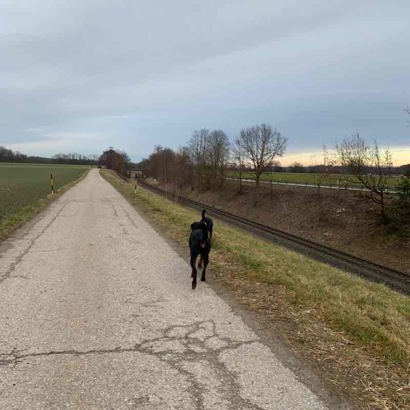 Together it's easier Lets go🏃🏾‍♀️🏃🐾🐾💪🏾🧠🆓❤️ post image