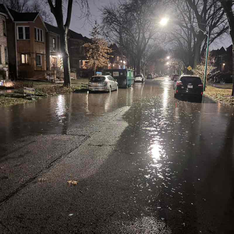 KittyCatLover post 2