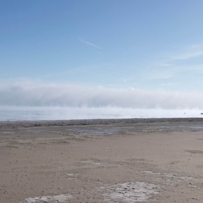 KittyCatLover post 1