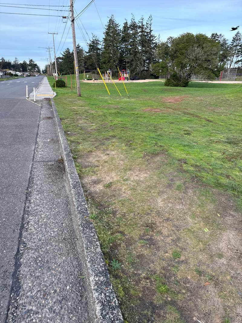 walking near me in Airport Heights Park in winter