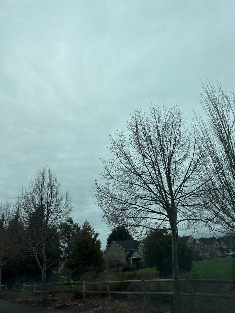 walking near me in Pioneer Park in winter