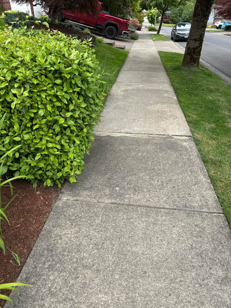 walking near me in Happy Valley Park in spring