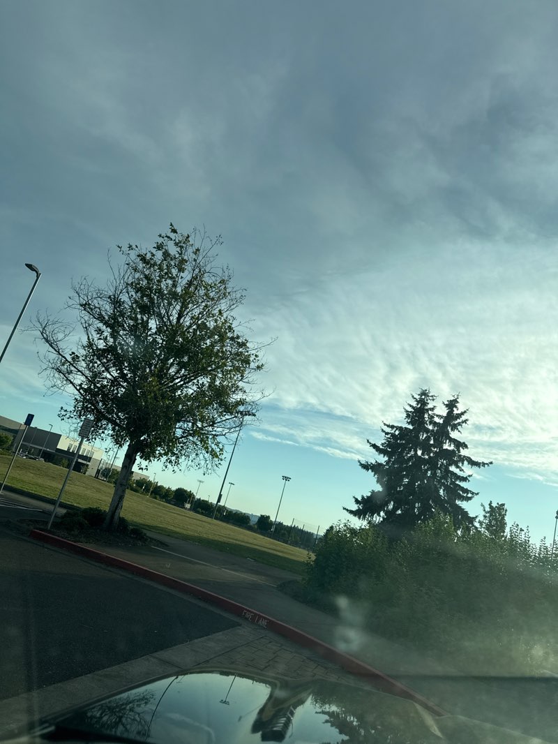 walking near me in Hood View Park in summer