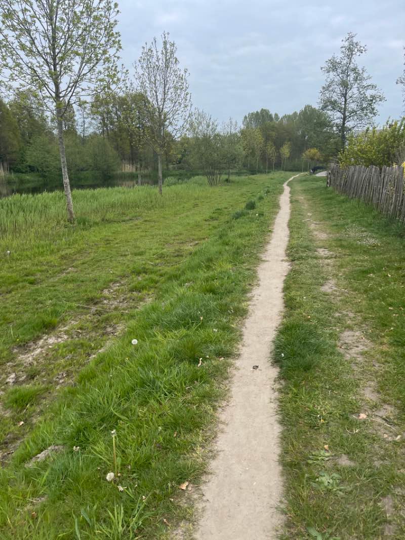 walking near me in Park Schelfhorst in winter