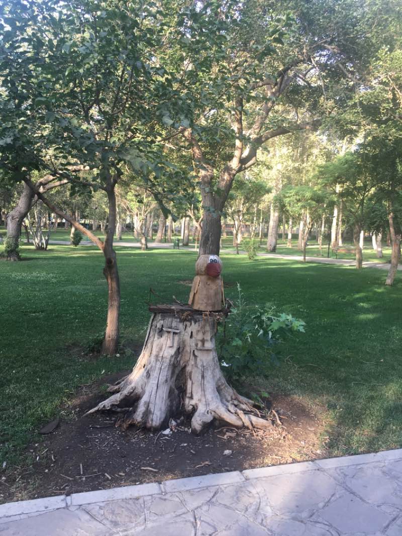 walking near me in Hafeziyeh Park in winter