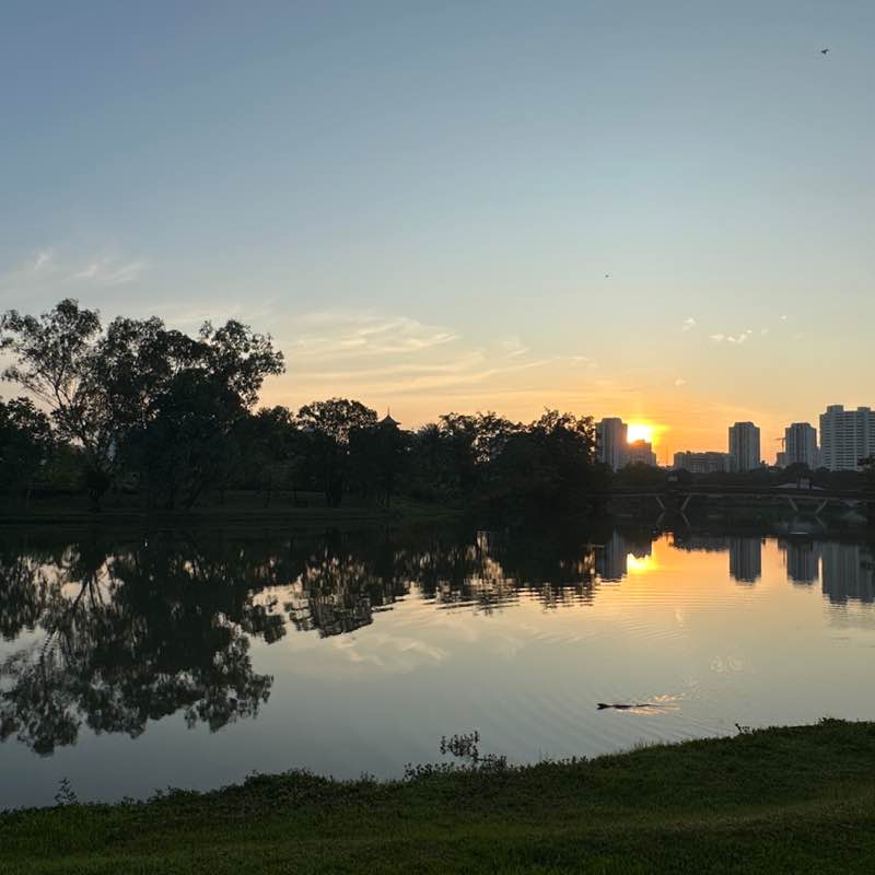 Sangham Strides Bubby post image