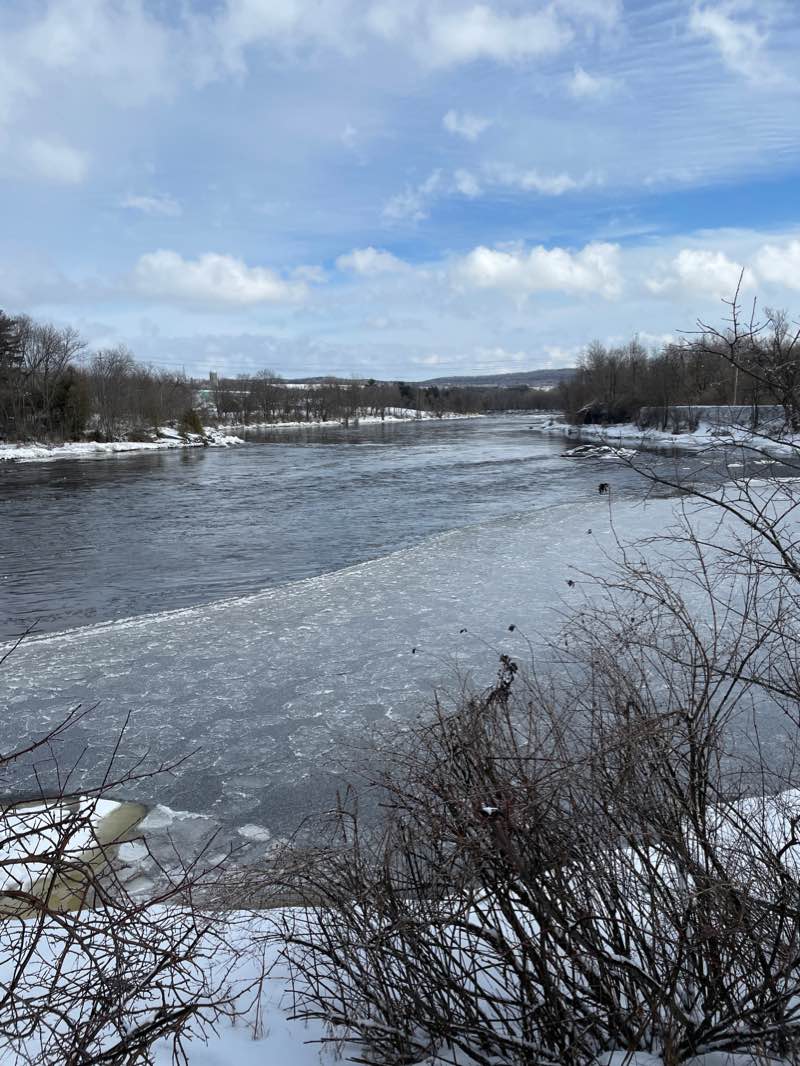 walking near me in Parc de la Rive in winter