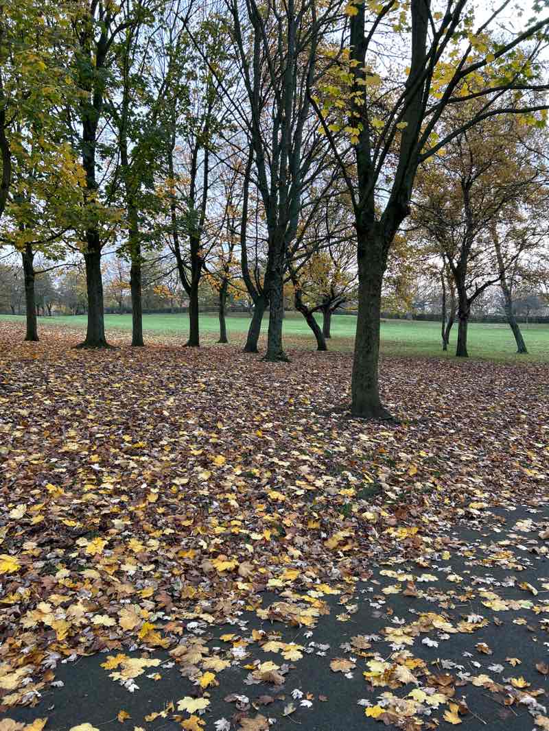 walking near me in Buile Hill Park in autumn