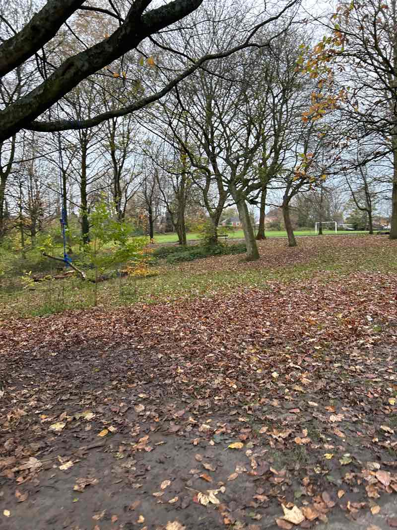 walking near me in Lightoaks Park in autumn