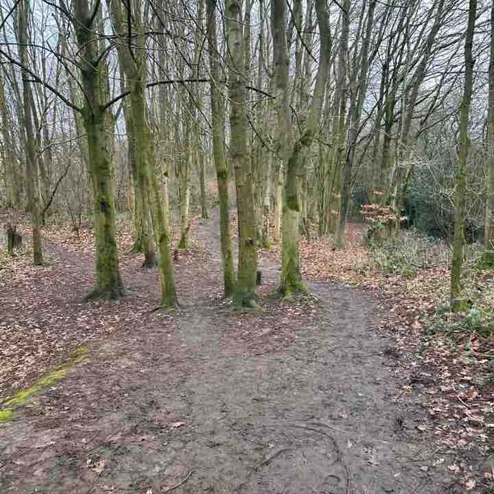 PacerGal_1974 post 1