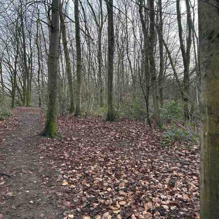 PacerGal_1974 post 1