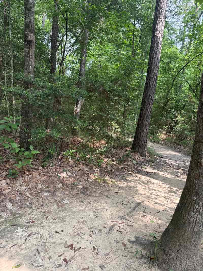 walking near me in Lake Houston Wilderness Park in spring