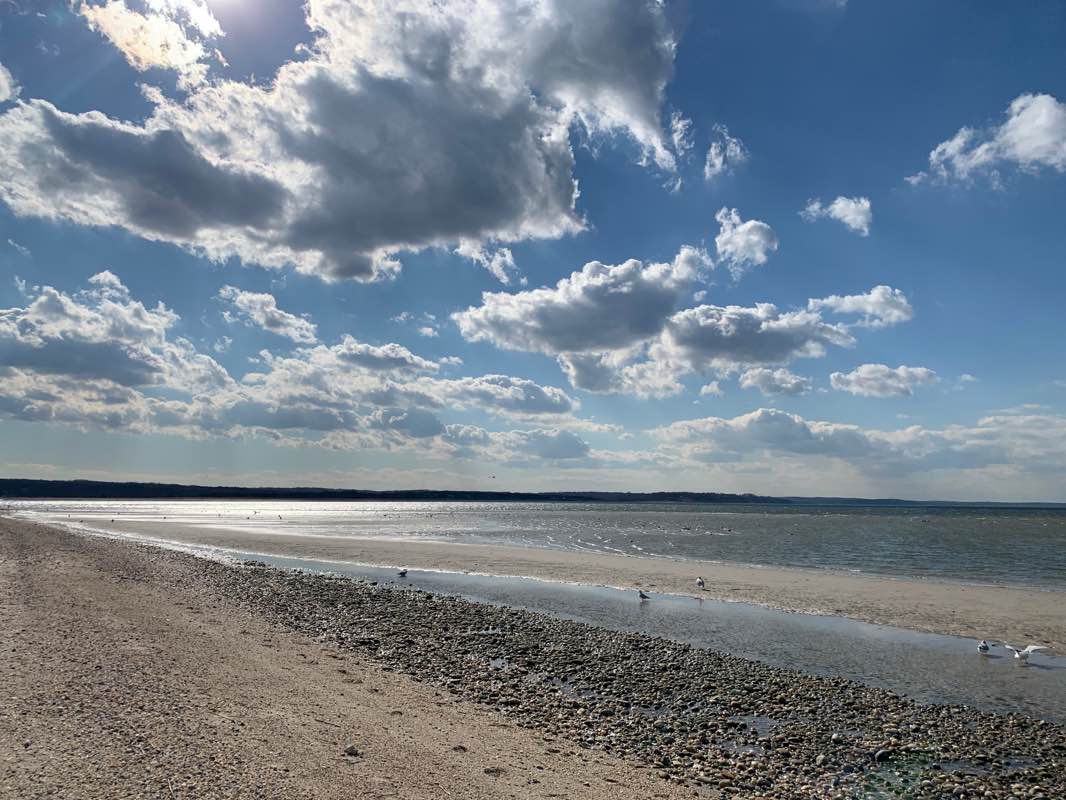 walking near me in West Meadow Wetlands Reserve in winter