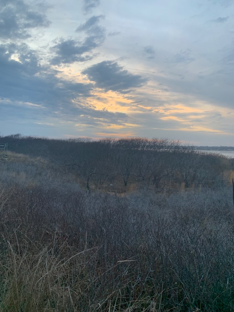 walking near me in Fire Island National Seashore in winter