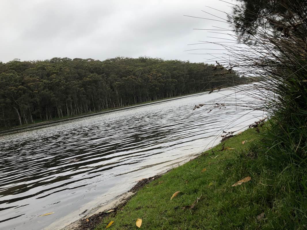 walking near me in Meroo National Park in summer