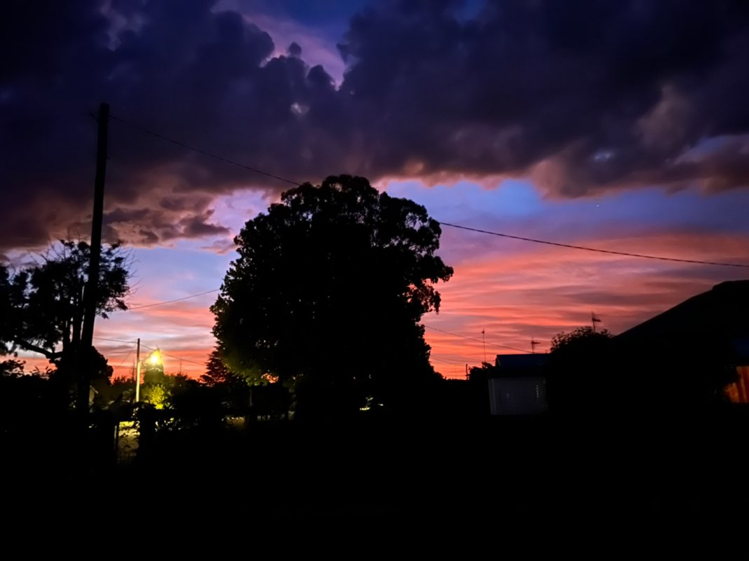 Just A Little House Elf