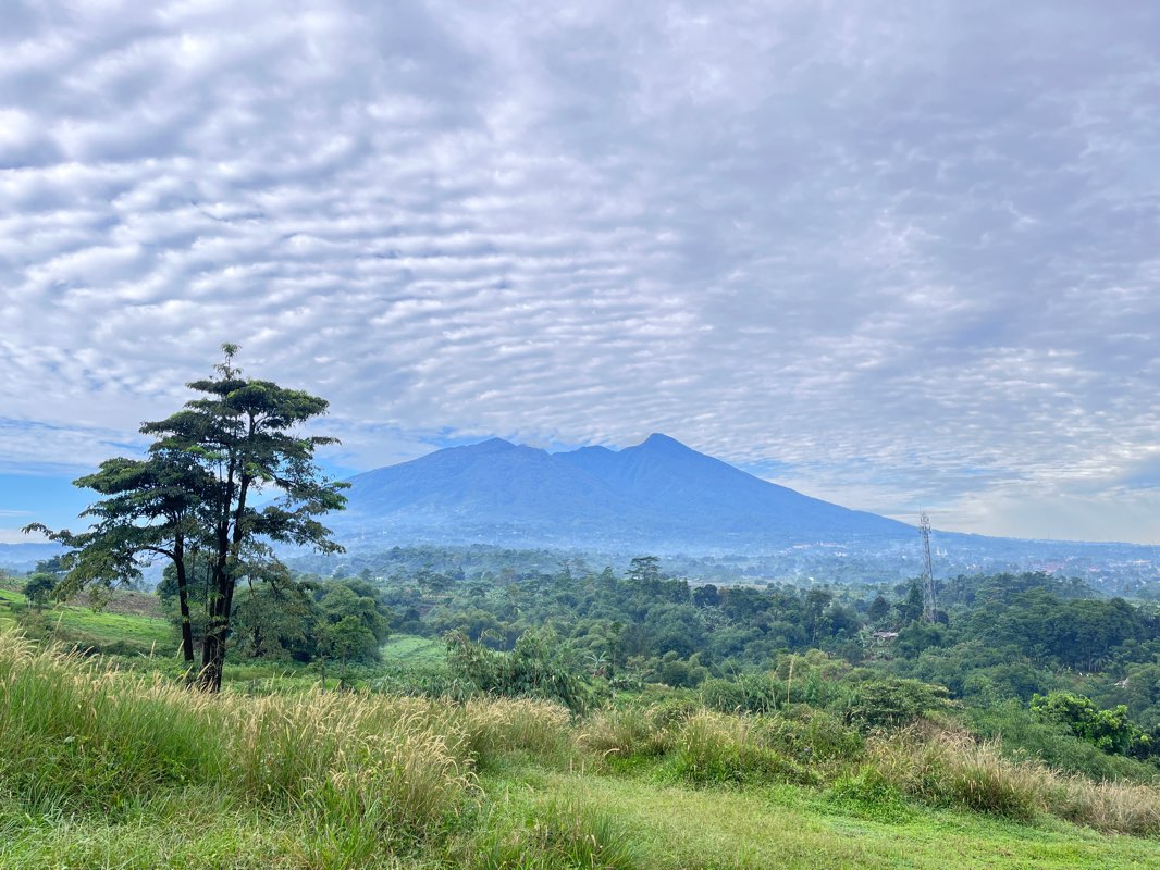 walking near me in Balai Penelitian dan Pengembangan Kehutanan in summer