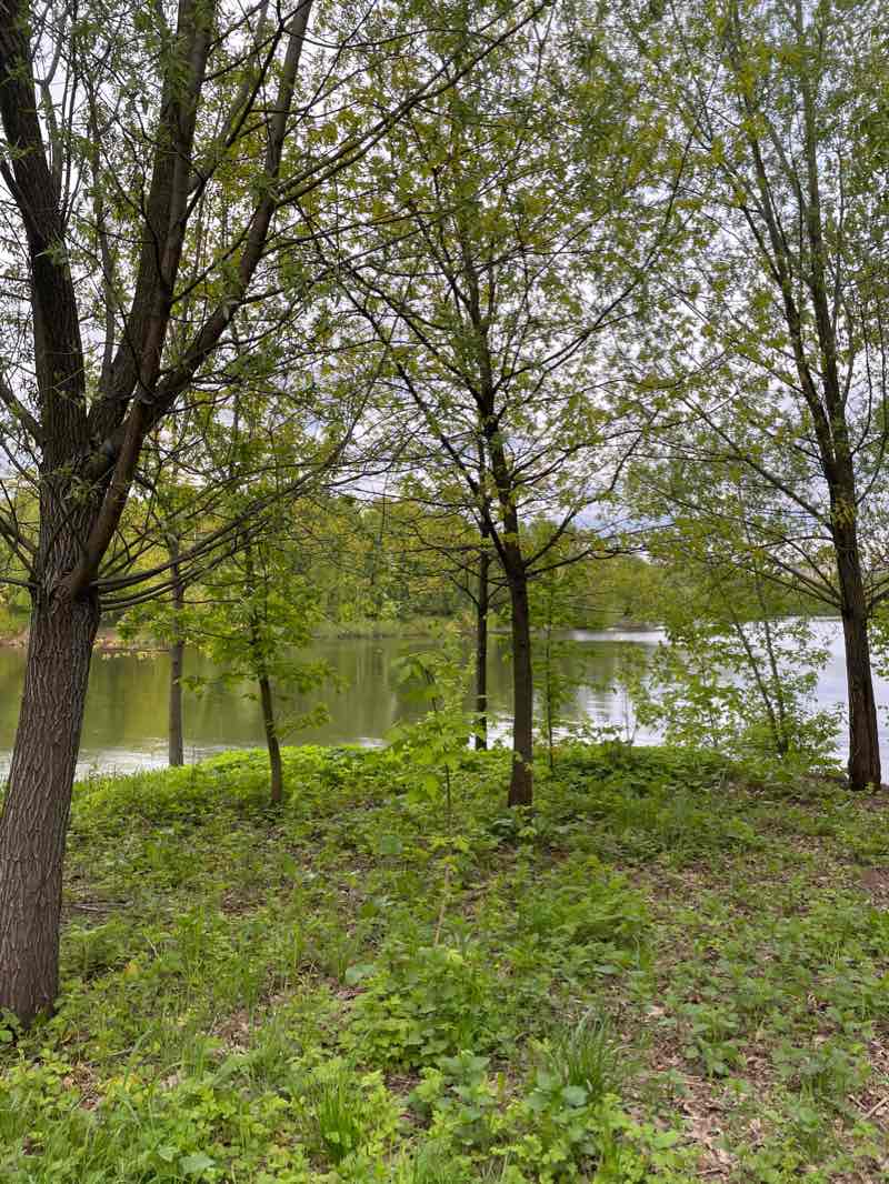 walking near me in North Tushino in winter