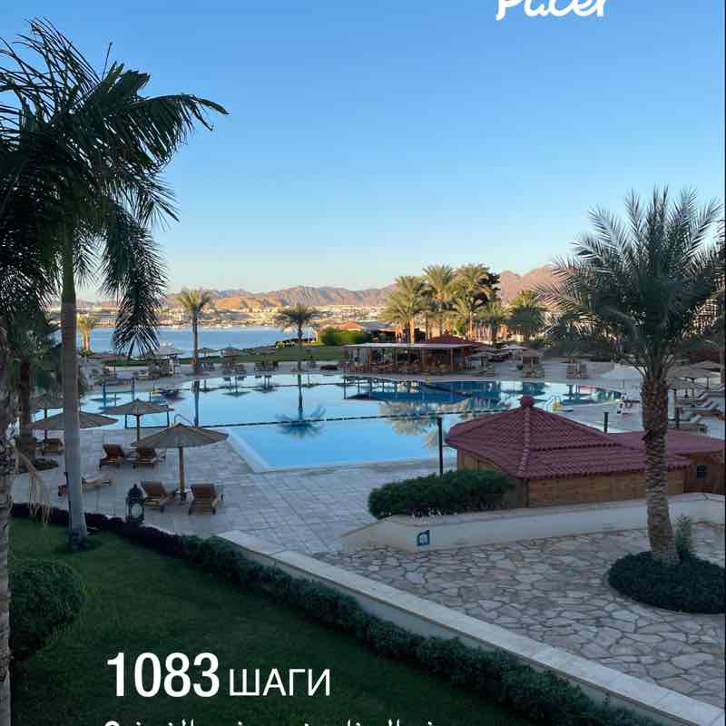 PacerТоварищ post 1