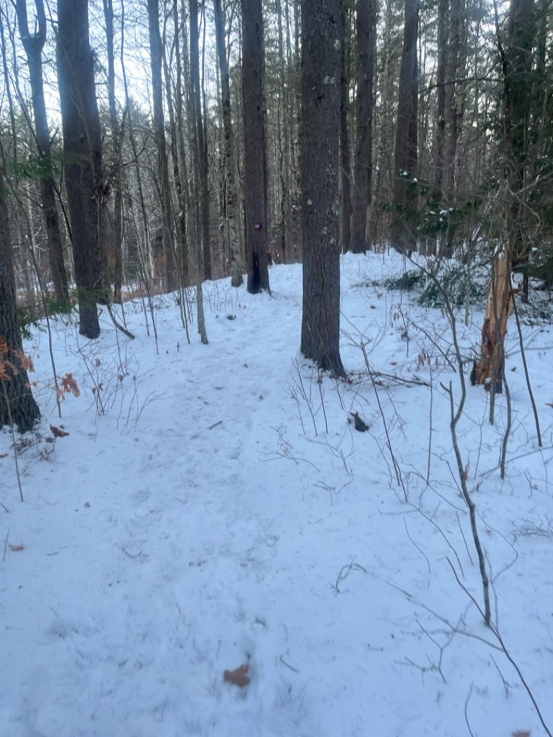 walking near me in Trout Brook Conservation Area in winter