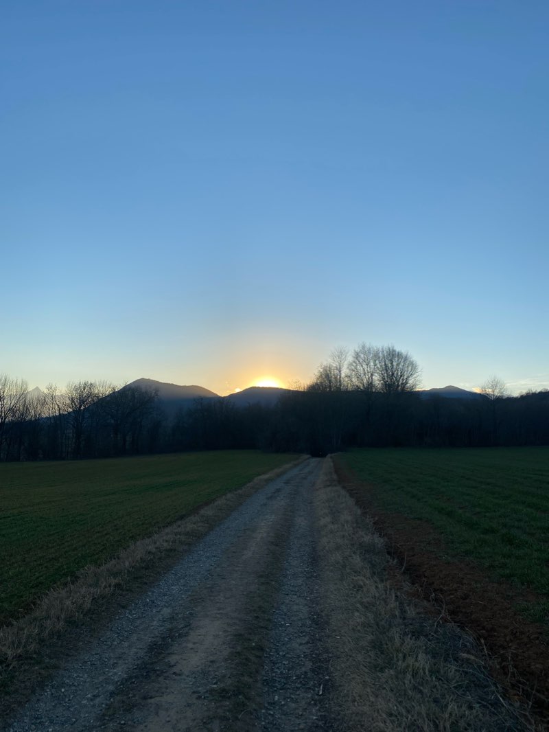 walking near me in Parco papa Giovanni Paolo II in winter