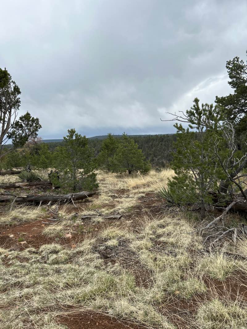 walking near me in Walnut Canyon National Monument in spring