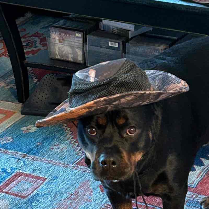 Arthur post 2