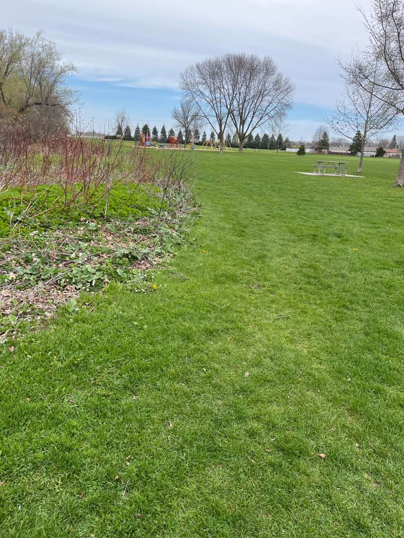 walking near me in Vidian-Cheska Park in spring