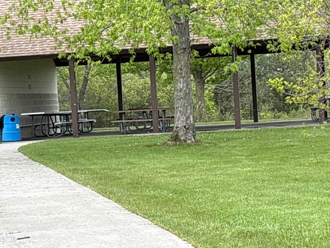 walking near me in Cliffside Park in spring