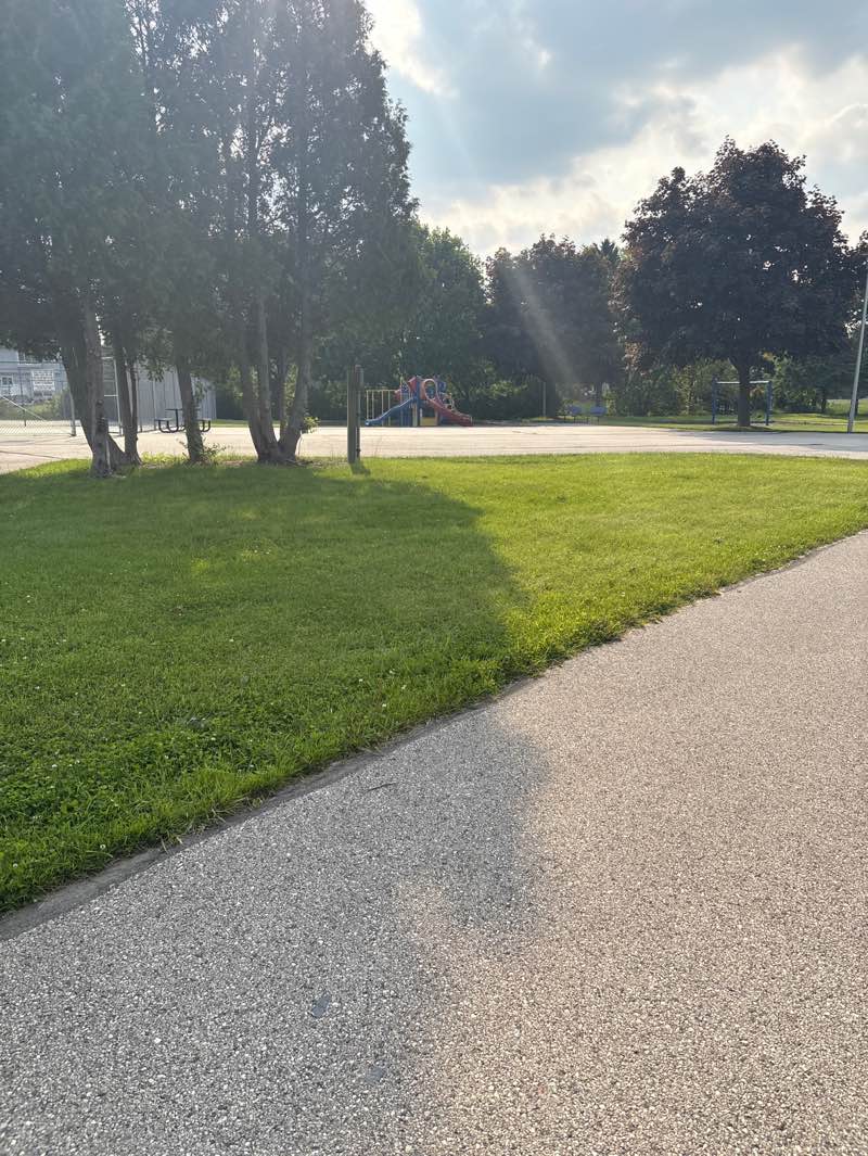 walking near me in Willow Heights Park in summer