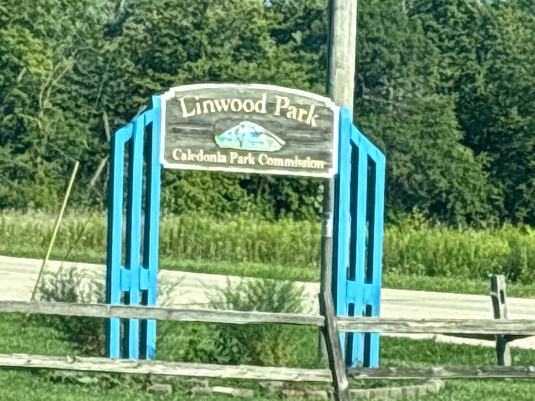 walking near me in Linwood Park in autumn