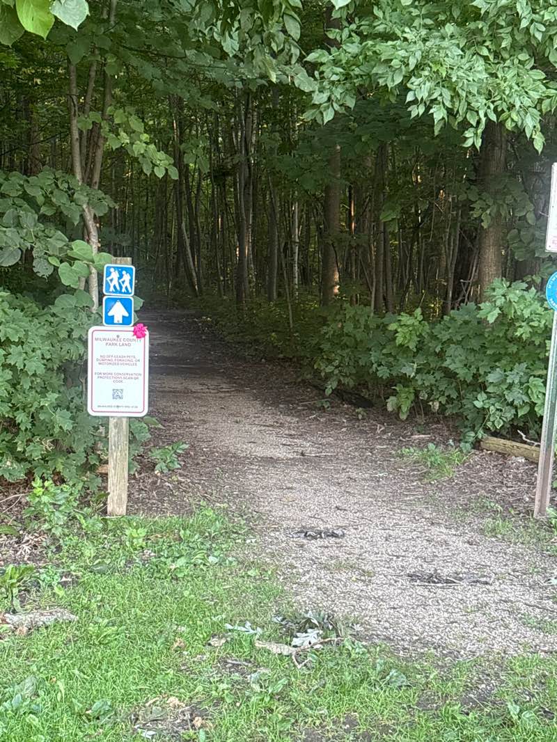 walking near me in Falk Park in autumn