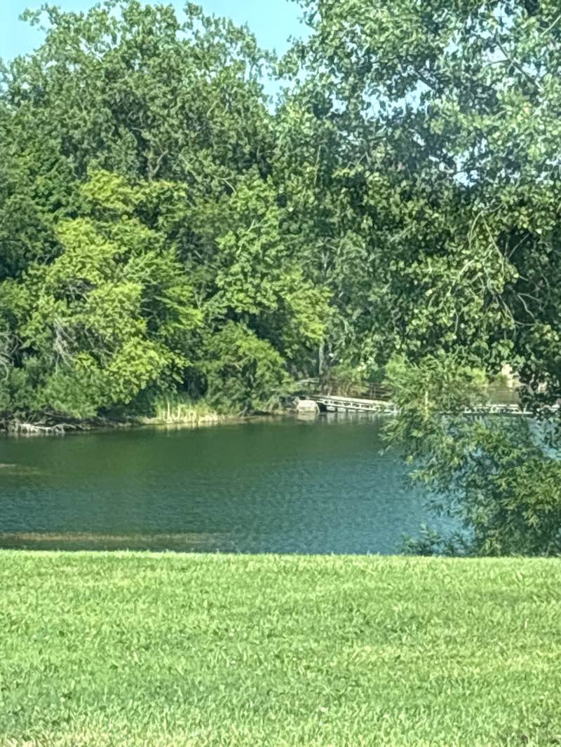 walking near me in Gorney Park in autumn