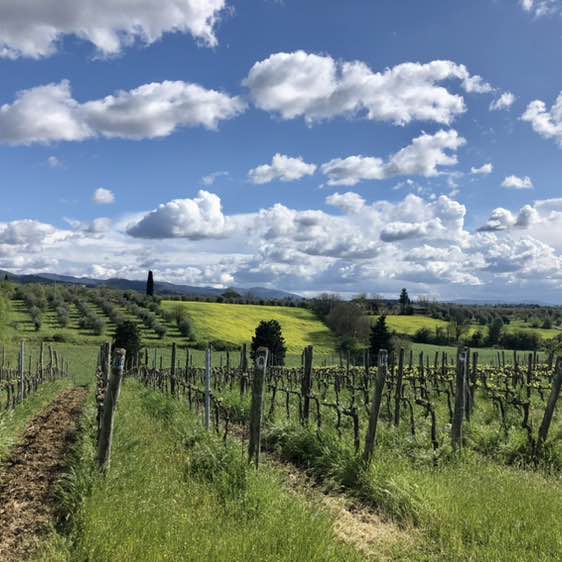 Manuel 🇷🇺👩‍❤️‍👨🇮🇹 post 3