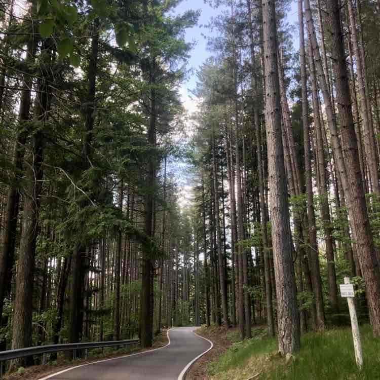 Manuel 🇷🇺👩‍❤️‍👨🇮🇹 post 2