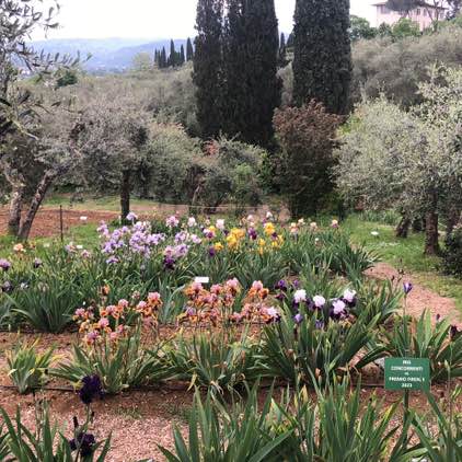 Manuel 🇷🇺👩‍❤️‍👨🇮🇹 post 2