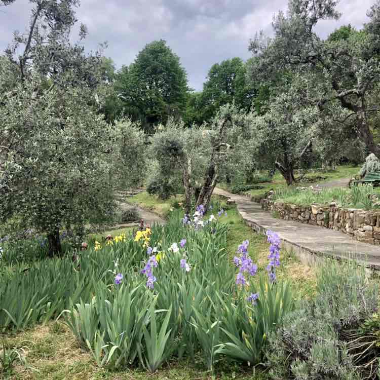 Manuel 🇷🇺👩‍❤️‍👨🇮🇹 post 1