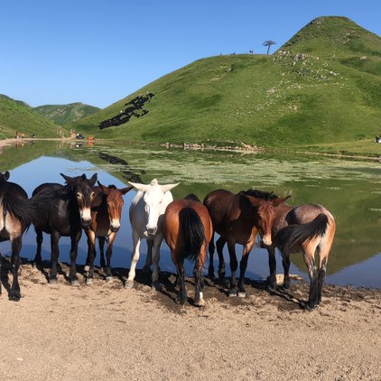 Manuel 🇷🇺👩‍❤️‍👨🇮🇹 post 1