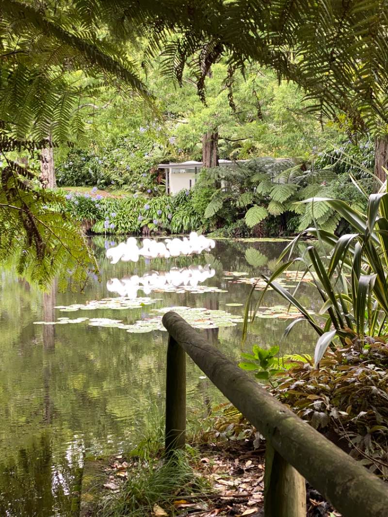 walking near me in Brooklands Park in summer
