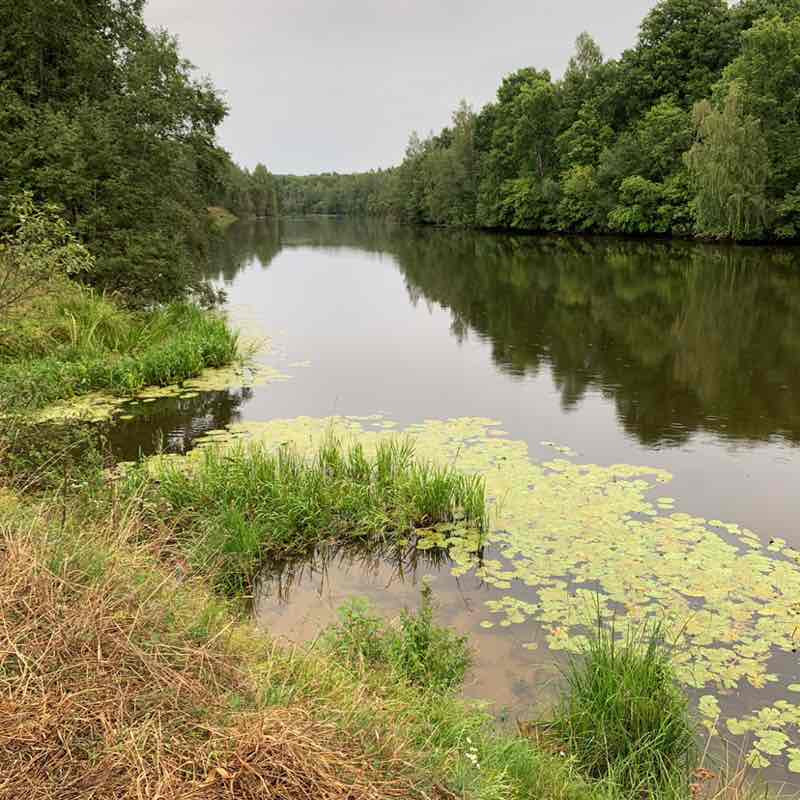 💃Светлана🔥 post 3