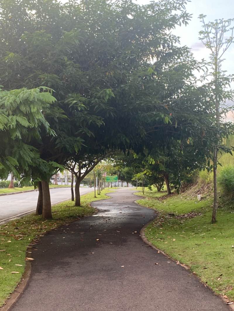 walking near me in Parque Rogelio Arango Chiari (Rach) in winter