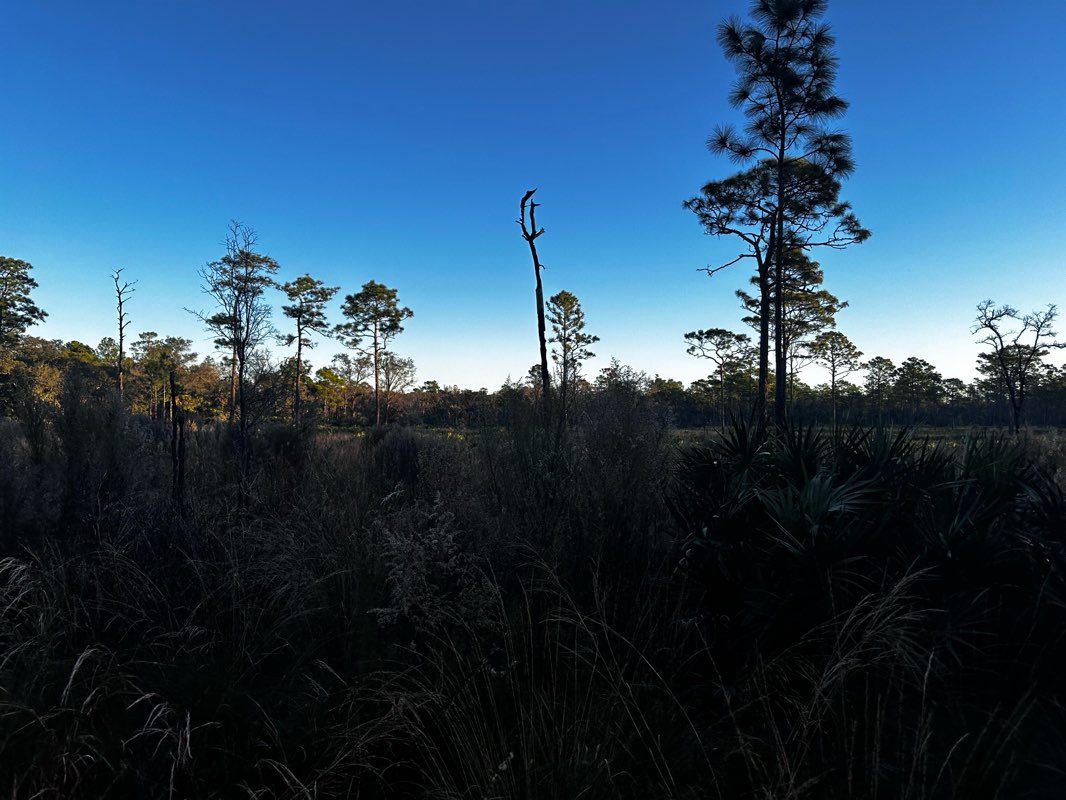 walking near me in Wekiwa Springs State Park in winter